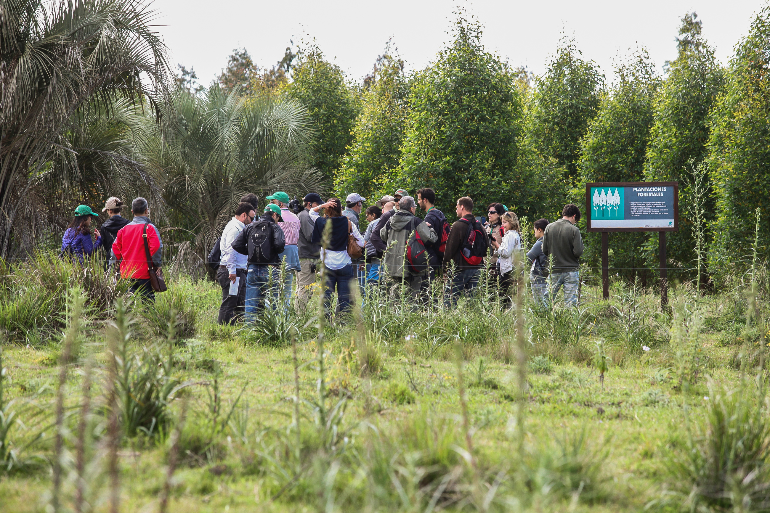 2015_11_05-PALMARES DEL CUICO_5DMii (227).jpg