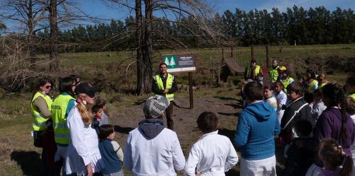 UPM Forestal Oriental - Potreras.jpg
